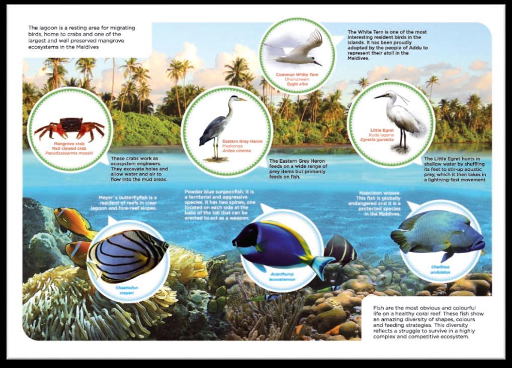 Figure 32: Examples of leaflets for Protected Areas. Source: HIDRIA 2) Presentations.