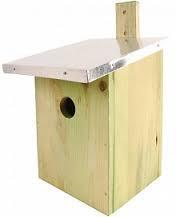 Bird nest box provide a safe area for chicks against their predators and harsh weather. Children can take the nest box home and then paint it and decorate it.