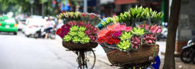 THE ITINERARY Day 5 Hoi An Free Day Today enjoy a day at leisure to discover Hoi An. Optional Activity: My Son Holy Land Tour - $140 AUD for Depart early this morning and travel to My Son (approx.