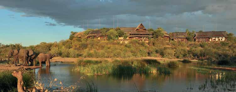 For families and small groups there are 2 and 3 bedroom Safari Suites which have access to all lodge facilities.