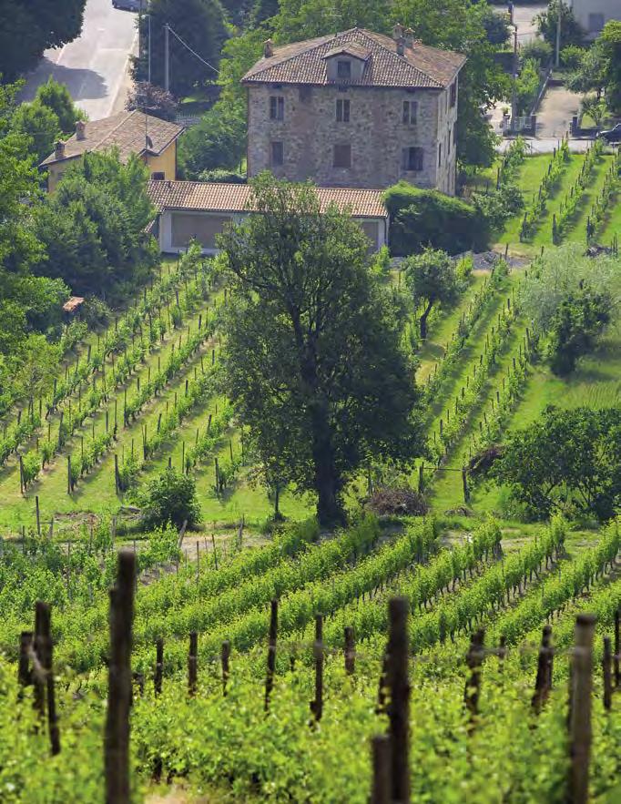 10 the italian way 11 Land of riches Bertazzoni s home is Guastalla, near Parma in the region of Emilia-Romagna.