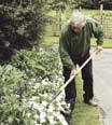 Council to deliver grounds maintenance across the Isle of Wight.