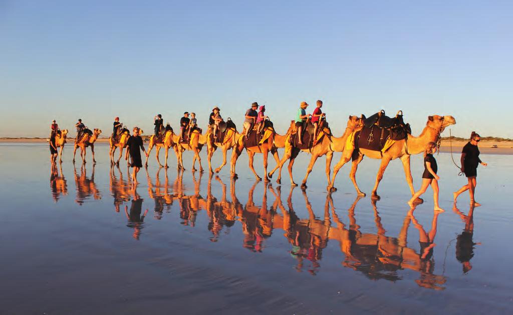 Souss-Massa National Park Camel Trek TRADITIONAL EXPERIENCE Starts: 11:00 Duration: 3 hours See Morocco the original way with a two hour camel trek through the Souss Massa National Park.