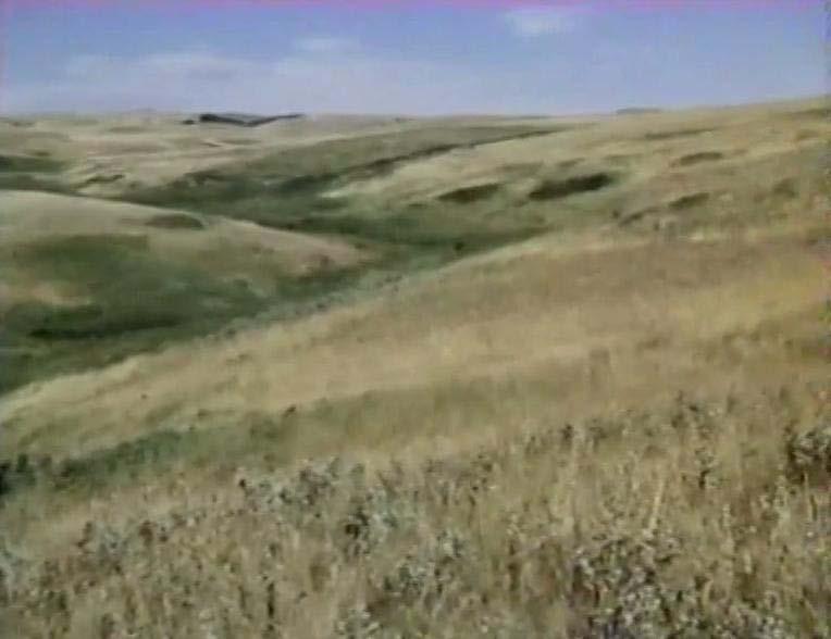 Our story begins on the prairie. As I soon discovered, the prairie was going to feature so prominently in the film that it may as well have been listed as an actor.
