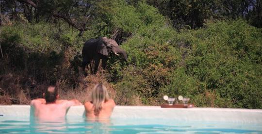Explorer Package by Selous Safarı Company Overview Combining 9 nights and 8 days in Ruaha National Park, the Selous Game Reserve and the Swahili Coast Day 1 Dar es Salaam to Ruaha National Park Day 2