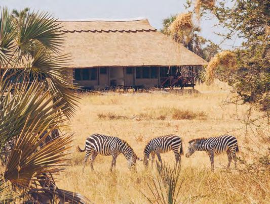 Custom Journeys in East Africa On a vast continent brimming with wildlife, colorful tribes and vistas of vast savannahs splashed with iconic wildlife, discover a timeless part of yourself while being