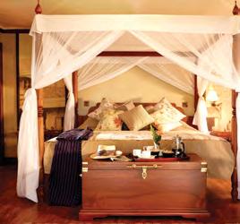 adventures offered as you experience the splendor of Tanzania and Kenya.