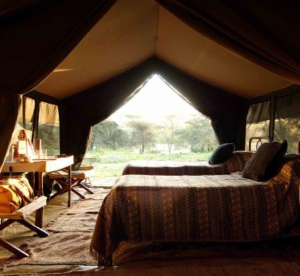 SERENGETI SAFARI CAMP EXCLUSIVELY LOCATED TO MAXIMISE YOUR SIGHTINGS OF THE MIGRATION Serengeti Safari camp is a highly recommended safari camp for guests wanting to see the great wildebeest
