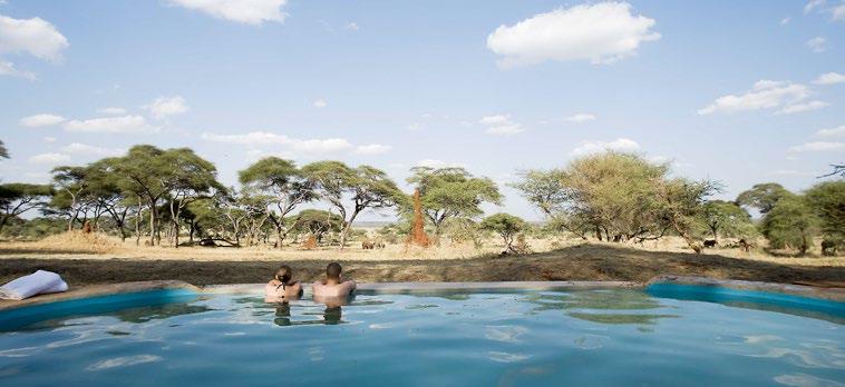 Now THIS is a safari Includes: 8 nights Three meals daily except on arrival All drinks excluding premium brands Flights