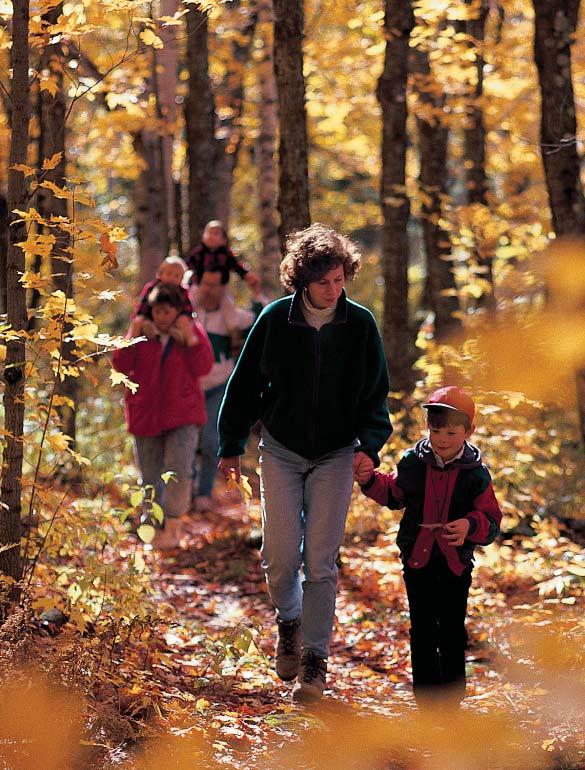 Preliminary Plan Phase I Natural Resource Profi les - OUTDOOR RECREATION to enjoy nature. In terms of physical health, inactivity is a serious problem as nearly 30% of U.S.