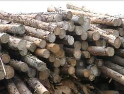 Ključni prametri koji određuju kvalitet drvne sečke su: vrsta materijala, dimenzije i vlažnost.