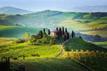Your tour starts with a visit to a rustic WINE ESTATE, surrounded by vineyards, where you will be greeted by the owners and offered an appetizing snack based on crostini toscani, home-produced olive