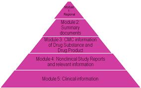 Postupak izdavanja prve dozvole za lek Podaci koji se odnose na farmakovigilancu deo 1.8 Modula 1 CTD dosijea: 1.8.1. Sistem farmakovigilance 1.8.2.