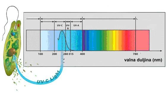 Slika 8. Prikaz spektra zračenja koji se koristi za dezinfekciju vode Prilikom dezinfekcije vode membranskim procesima koriste se membrane koje djeluju kao selektivne zapreke (slika 9).