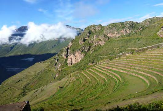 Around 3 pm we ll all take a private bus down in altitude to the sacred valley and the town of Pisac. This drop in altitude will help the group adjust smoothly to the altitude.