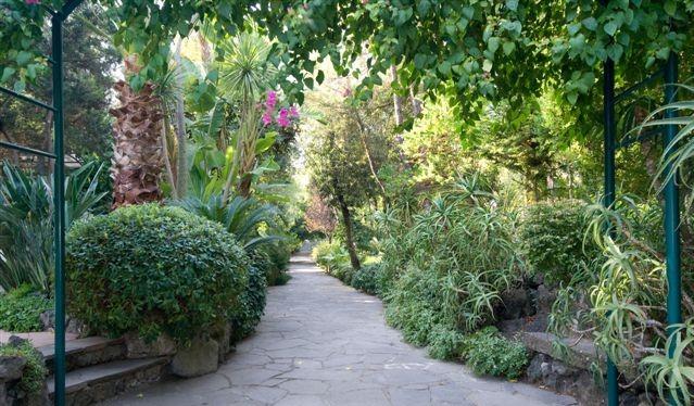 Upon arrival, you will visit the Mortella Gardens and their dramatic, volcanic rocks.