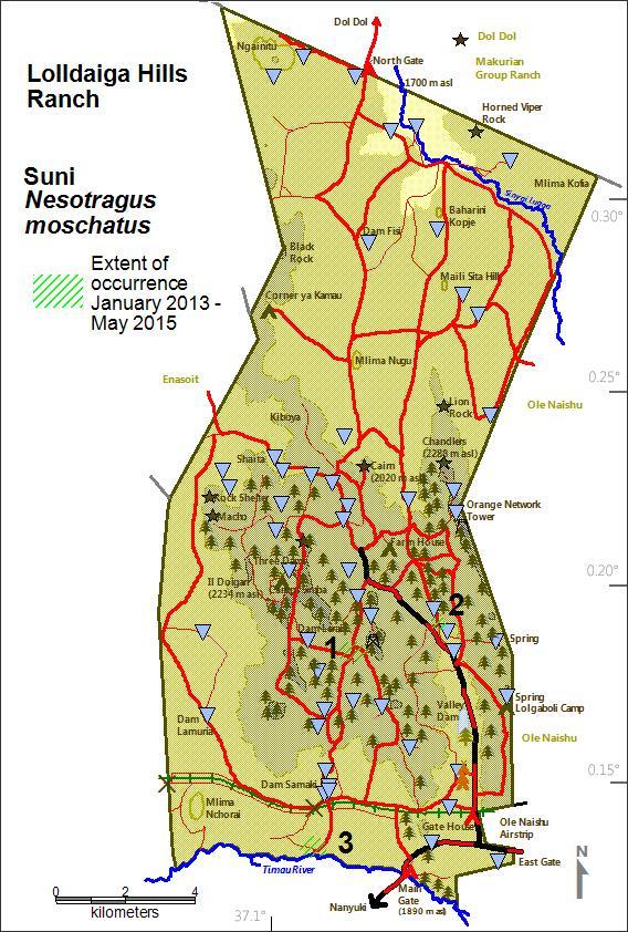 Suni (Nesotragus moschatus) Altitude range: 1900 2100 m Main habitats: Forest with dense undergrowth.