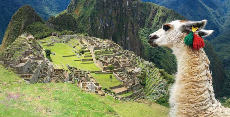 MACHU PICCHU & MACHU PICCHU PUEBLO PERU Llama watching over Machu Picchu Shutterstock MACHU PICCHU The 15th century "Lost City of the Incas" has one of