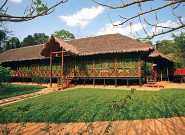 PERU RAINFOREST ECO-LODGES PERU ECO-LODGES 5 days/4 nights or 4 days/3 nights Lodges Departs ex Puerto Maldonado Experience the wonders of Peru s Amazon rainforest where monkeys call from high in the