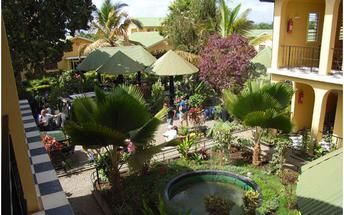 Breakfast, Lunch, Dinner Overnight: Mweka Camp Day 16: Springlands Hotel, Mount Kilimanjaro (Mon, June 27) A gentle descent through lovely forest with lush undergrowth takes us to the National Park