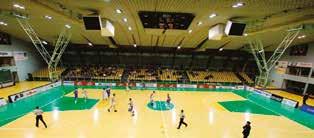 ŠPORTNE DVORANE NOGOMETNA IGRIŠČA Dvorane so primerne za športe z žogo (rokomet, košarka, mali nogomet, odbojka), borilne športe in gimnastiko.