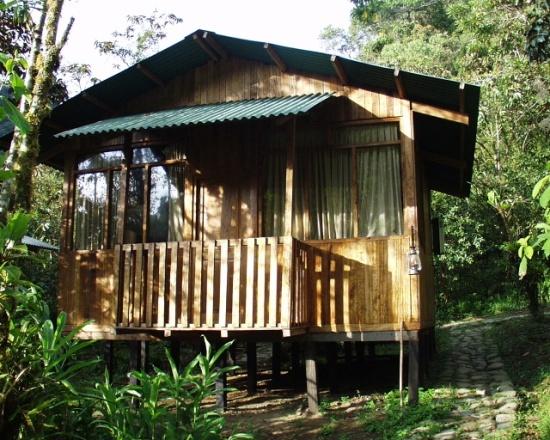COCK-OF-THE-ROCK LODGE Located at 5000 feet elevation within a 10,000 acre cloud forest reserve, the lodge is a comfortable accommodation featuring double-occupancy cabanas with hot showers, flush
