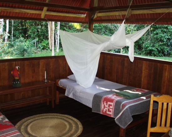 AMAZONIA OR PANTIACOLLA LODGE These lodges are ideally situated for wildlife observation with some of the best bird watching in the world.