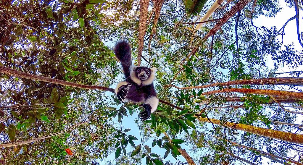 Madagascar: Off the Beaten