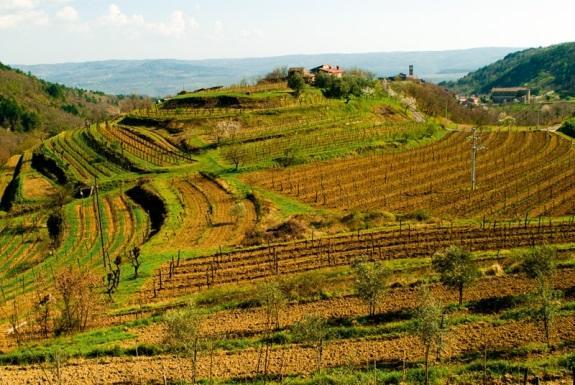 Green hills adorned by olive groves, vineyards and magnificent medieval castles,