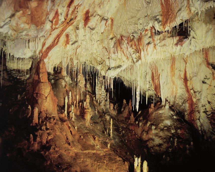the UNESCO World Heritage List. They include the caves of the Slovenský kras (Slovak Karst) and Aggtelek kras (Aggtelek Karst) ranges, which were classed among the world natural rarities back in 1995.