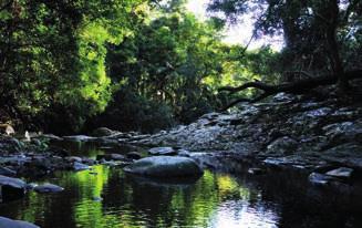 Hero Experiences Hinterland The Gold Coast s hinterland features World Heritagelisted rainforests with unrivalled scenic views, spectacular waterfalls and an expanse of fauna and flora to