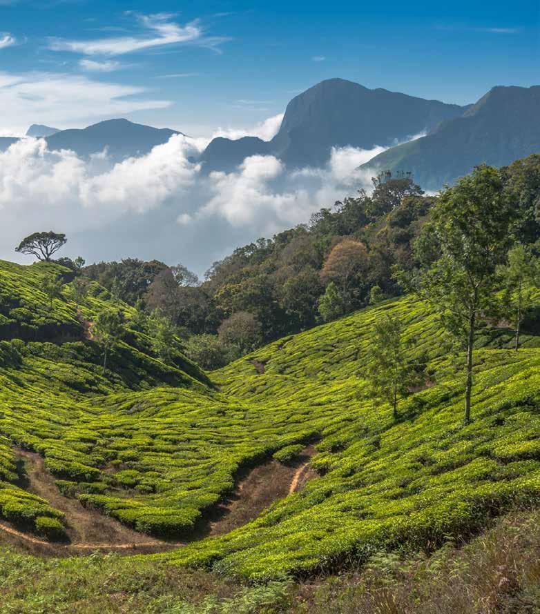 KERALA EXPLORER Characterised by winding emerald rivers, exotic wildlife, spice plantations and lush landscapes, the south Indian state of Kerala exudes tranquillity and beauty.
