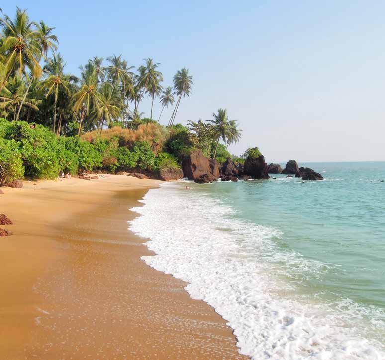 KERALA BEACH STAY If you have not yet booked this fabulous extension, there is still time to do so.