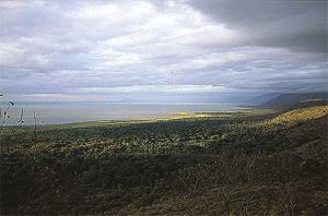 Lake Manyara National Park Another smaller park on the shores of Lake Manyara. This park has a large population of both resident and migratory birds.