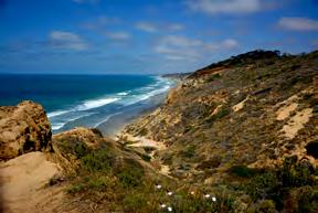 CAPTIVATING BEACHES Torrey Pines State Beach Swim, surf and fish on this wide stretch of sandy beach, or take a