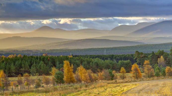 A scenic drive through the Cairngorms Estimated arrival to for The Boath House O/N: The Boath House A: A96, Auldearn, Nairn IV12 5TE T:+44 (0)1667 454 896 Day 4 9.00am 5.30pm 6.00pm 7.