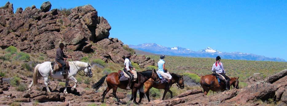riding in south america riding in south america With a long tradition and expertise in all things equine, and a landscape eminently suitable for the horse - from the dizzying heights of the Andes to