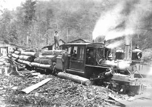A year after iron rails reached Asheville in 1880, workers scattered to the west of the city to dig, fill, and blast an extension of the line that stretched 116 miles to Murphy and provided thousands