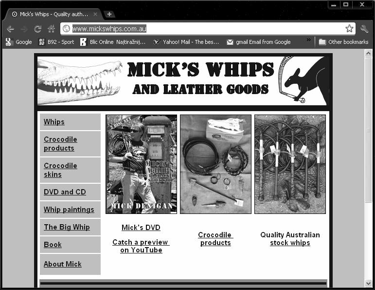 Mick s whips Copy testing Vrsta marketing istraživanja Odreñivanje efikasnosti oglasa ili reklama na osnovu reakcija korisnika Uticaj pažnje, interesovanja, potreba i akcija korisnika se istražuje