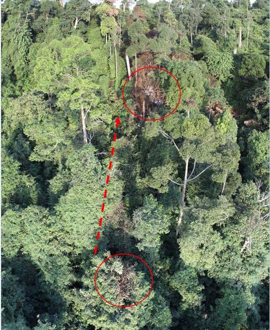 Figure 4: The final path of the flight The aircraft impacted a significant sized tree before impacting terrain with the direction