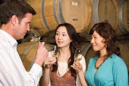 DISCOVER THE YARRA VALLEY > AT7Yv1 139 INCLUDES LUNCH > TOUR THE STUNNING YARRA VALLEY REGION > VISIT THREE HIGHLY RENOWNED BOUTIQUE WINERIES > EXPERIENCE THE RUSTIC CHARM OF A CIDER ALE HOUSE >