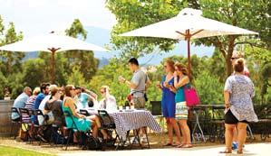 This fun day tour includes picnic style lunch in the gardens or Barrel room of Dominque Portet winery and a fun game of Petanque with a bottle of wine for the winner!