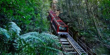 CHECK OUT OUR DAILY SPECIALS Jenolan Caves Includes visit to Scenic World WILDLIFE &