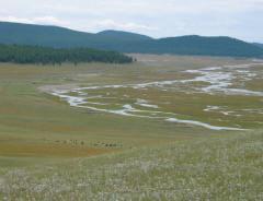 botany and the wild treasures of this Northern region of Mongolia.
