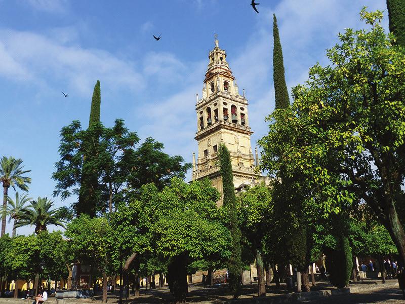 Overview Andalucía and the Mediterranean this 10 day tour enables you to see the best of Andalucía including magnificent cities and hilltop villages as well as get a taste of the Spanish
