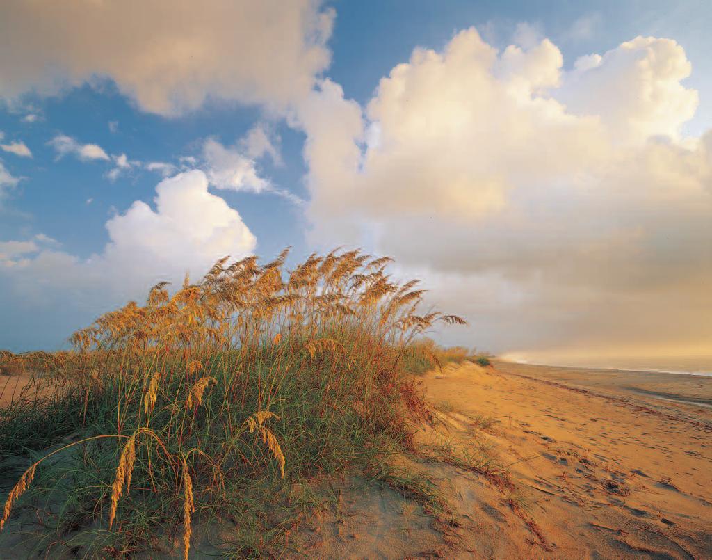 Sea oats and cumulus clouds at Hatteras Island (above); sunrise over pier at Nags Head (below) GEORGE HUMPHRIES As population increases in the beach communities, wastewater treatment will be a