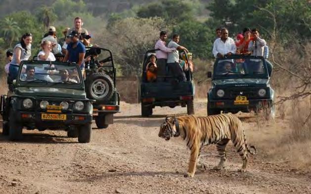 Two Jeep Safari in Ranthambhore All applicable taxes as on 15th Jan, 2015 Jeep Safari, Ranthambhore Tour Highlights: Excursion to Elephanta Caves Boat ride on Lake