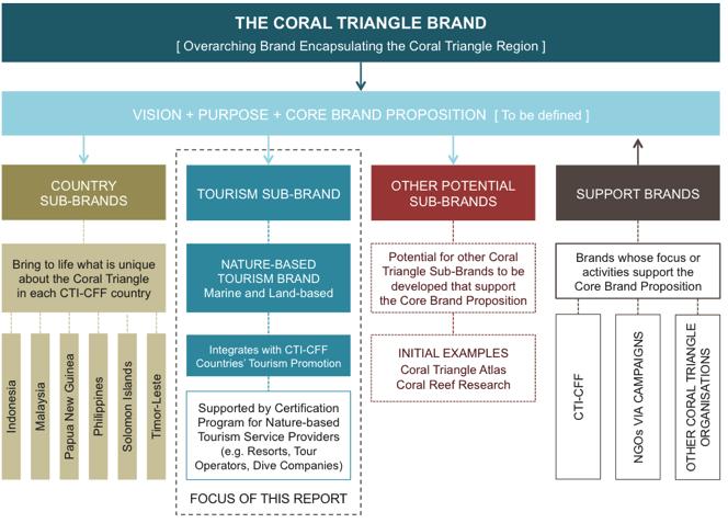 10 EXPLORING THE POTENTIAL FOR A CORAL TRIANGLE 17 REFERENCES NBT BRAND 10.