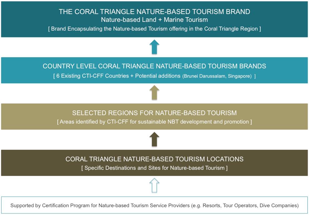 10 EXPLORING THE POTENTIAL FOR A CORAL TRIANGLE 17 REFERENCES NBT BRAND 10.
