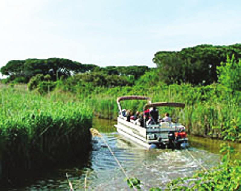 30 Departure for the town of Comacchio, graced by a network of picturesque canals. 10.00 Arrival, local sightseeing and time at leisure. 11.